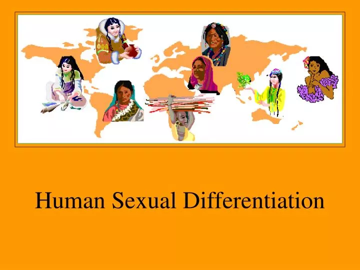 human sexual differentiation