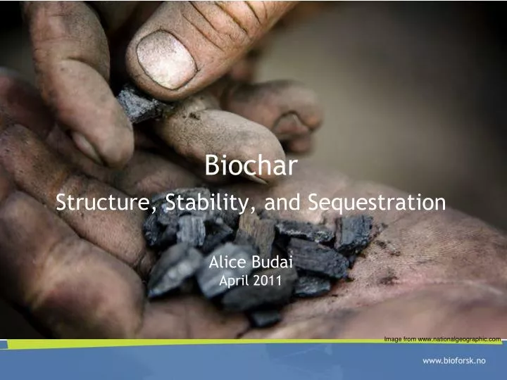 biochar structure stability and sequestration alice budai april 2011