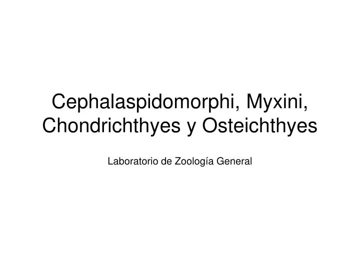 cephalaspidomorphi myxini chondrichthyes y osteichthyes
