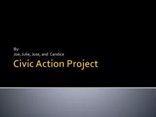 Civic Action Project