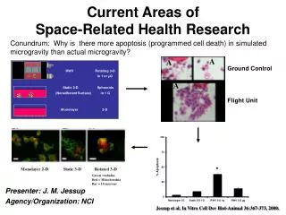 Current Areas of Space-Related Health Research