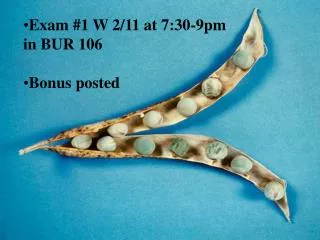 Exam #1 W 2/11 at 7:30-9pm in BUR 106 Bonus posted