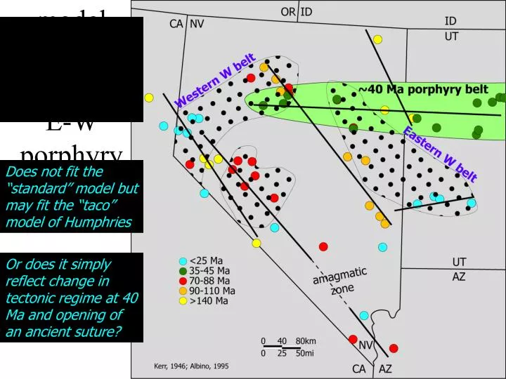 what tectonic model explains the 40 ma e w porphyry belt