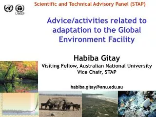 Scientific and Technical Advisory Panel (STAP)