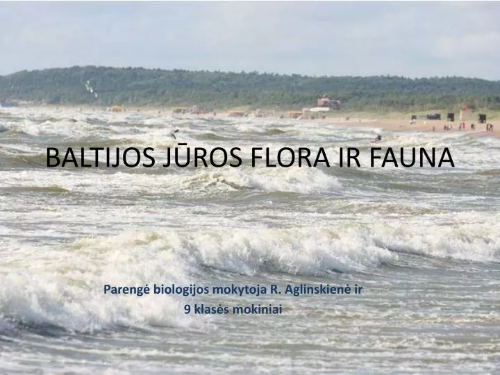 baltijos j ros flora ir fauna