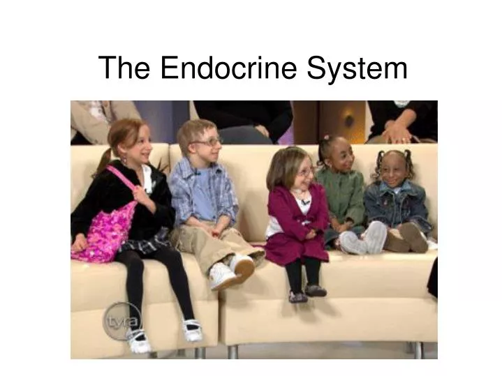 the endocrine system