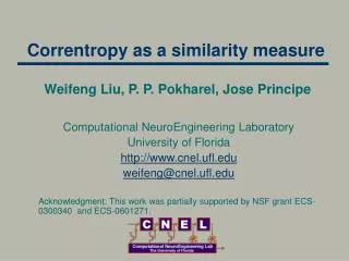 Correntropy as a similarity measure