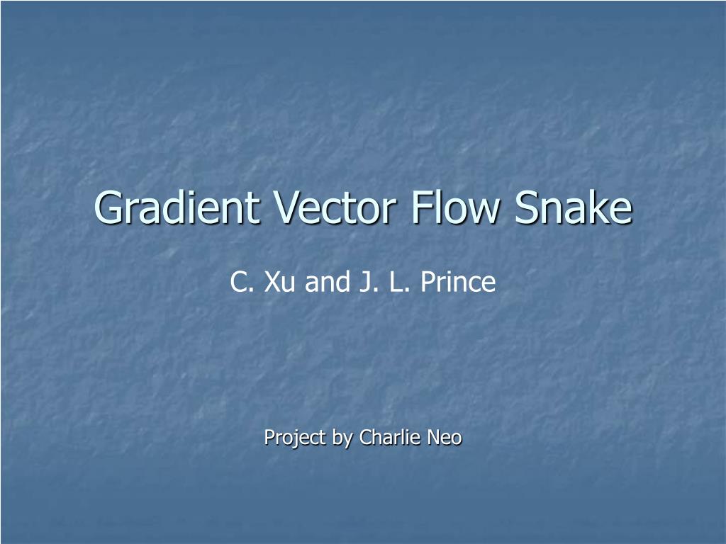 PPT - Gradient Vector Flow Snake PowerPoint Presentation, free download ...