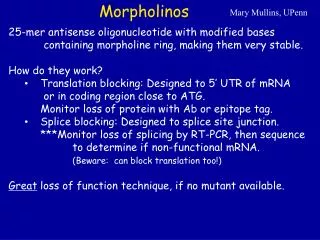 Morpholinos
