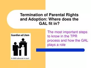 Termination of Parental Rights and Adoption: Where does the GAL fit in?