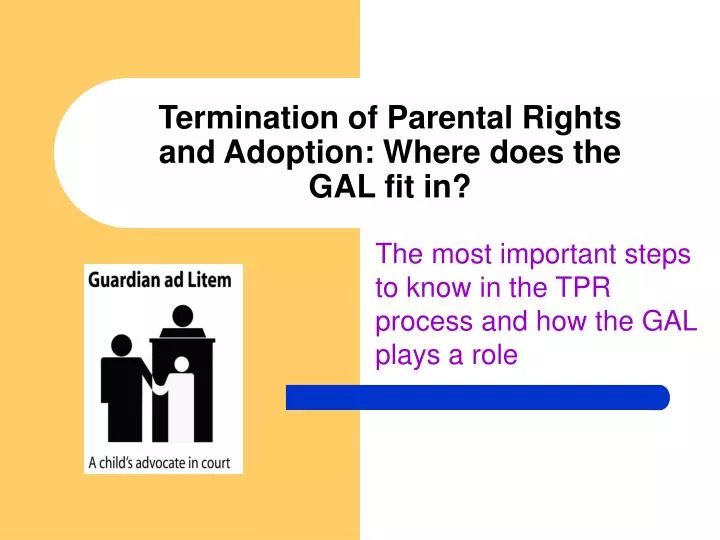 termination of parental rights and adoption where does the gal fit in