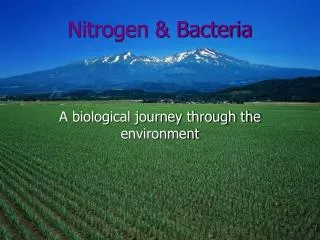 Nitrogen &amp; Bacteria A biological journey through the environment