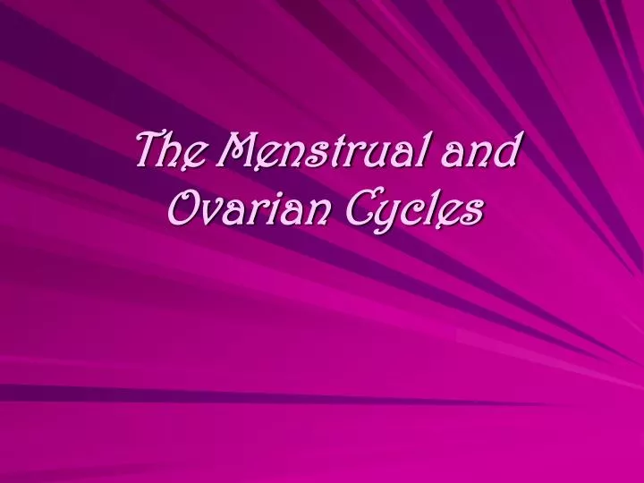 the menstrual and ovarian cycles
