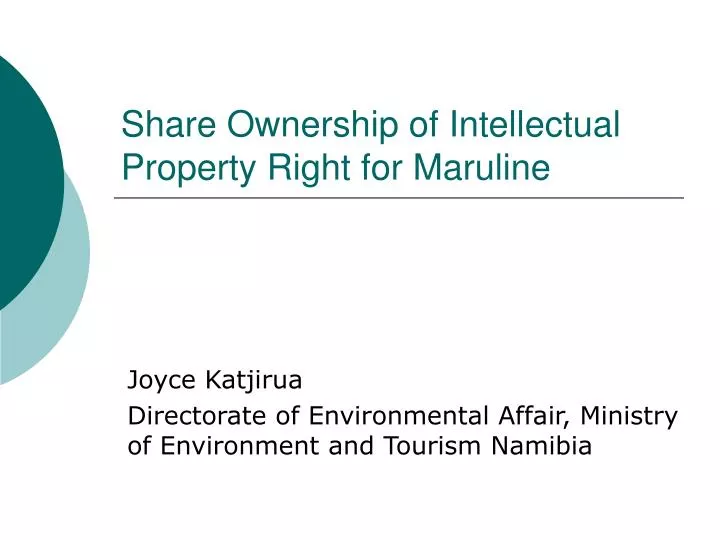 share ownership of intellectual property right for maruline
