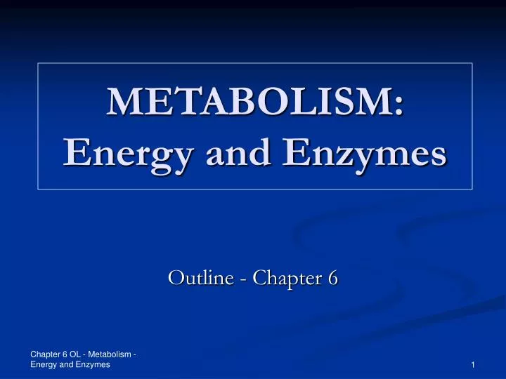 metabolism energy and enzymes