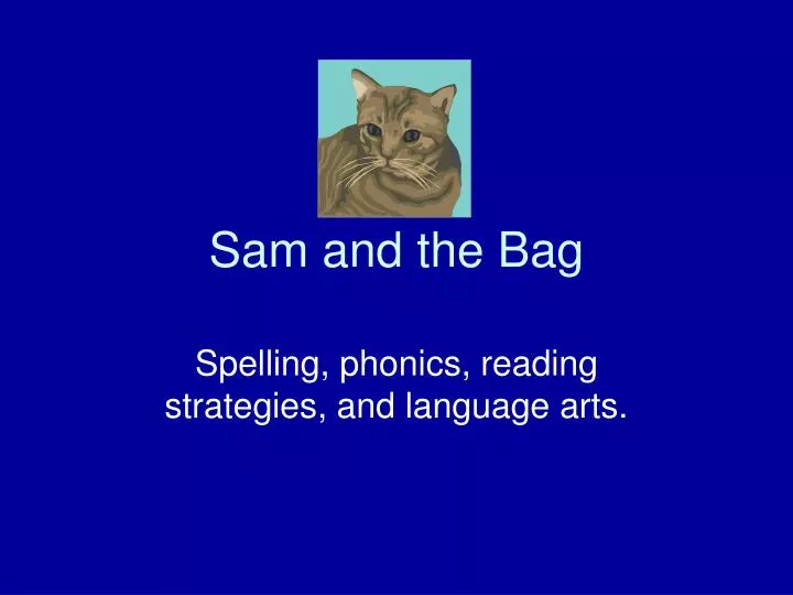 sam and the bag