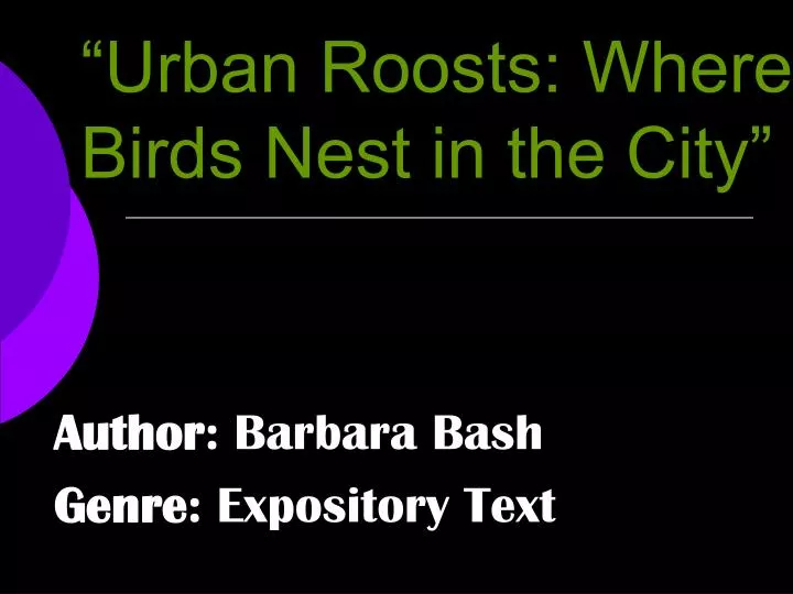 urban roosts where birds nest in the city