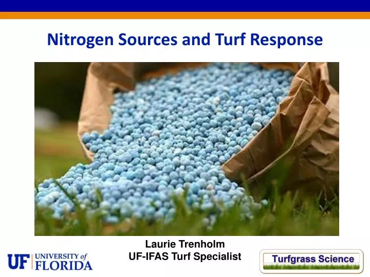 nitrogen sources and turf response
