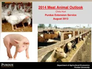 2014 Meat Animal Outlook Chris Hurt Purdue Extension Service August 2013