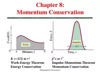 Chapter 8: Momentum Conservation