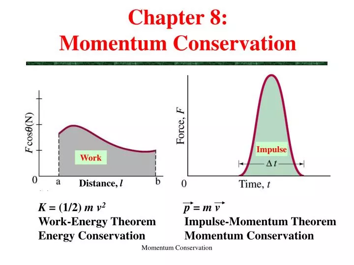 chapter 8 momentum conservation