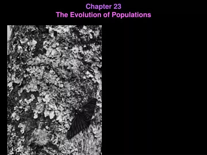 chapter 23 the evolution of populations