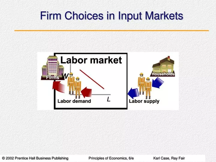 firm choices in input markets
