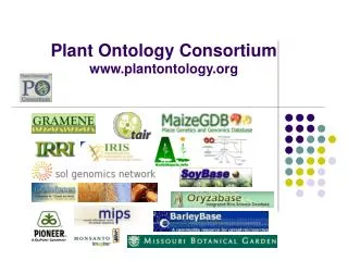 Plant Ontology Consortium plantontology