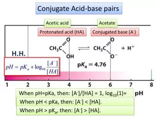 Conjugate Acid-base pairs
