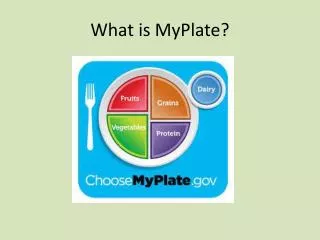 What is MyPlate ?