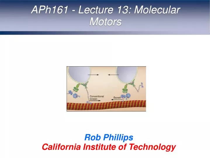 rob phillips california institute of technology