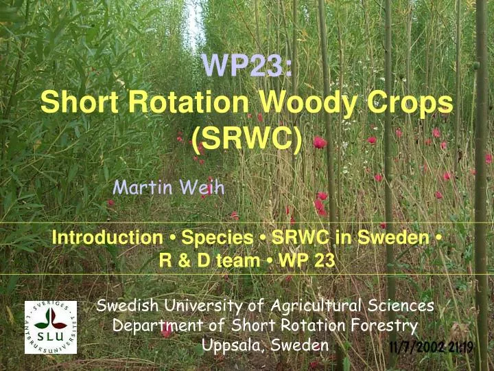 wp23 short rotation woody crops srwc