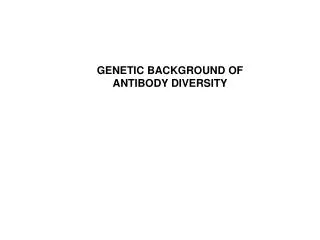 GENETIC BACKGROUND OF ANTIBODY DIVERSITY