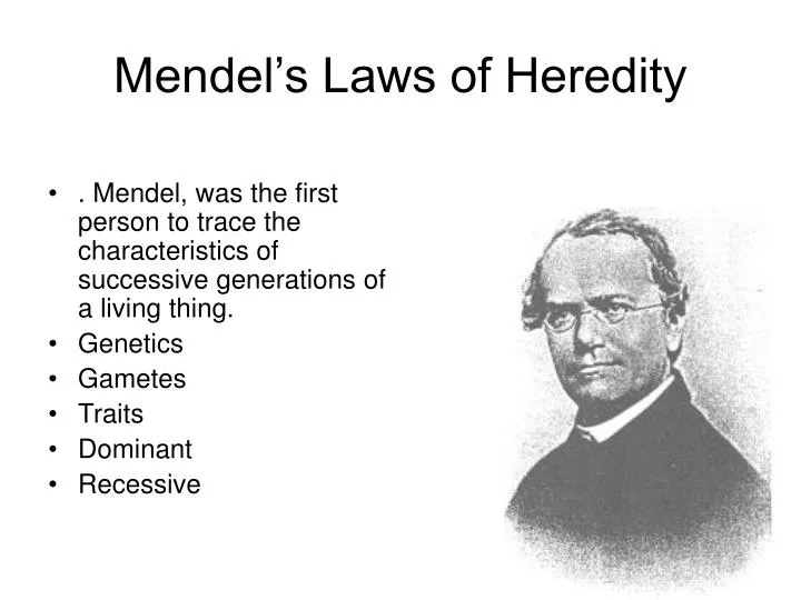 mendel s laws of heredity