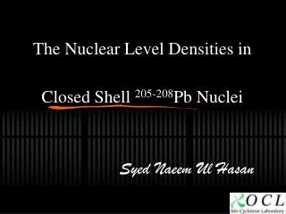 The Nuclear Level Densities in Closed Shell 205-208 Pb Nuclei