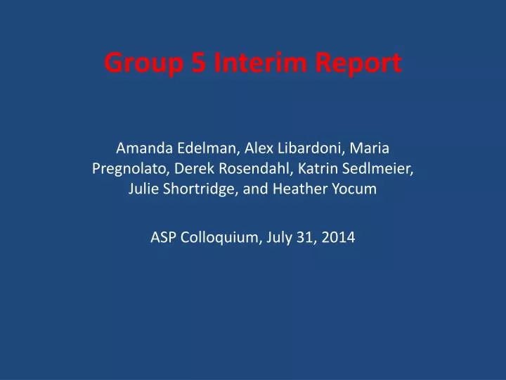 group 5 interim report