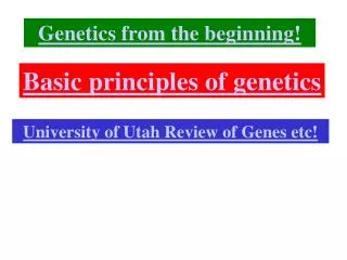 Basic principles of genetics