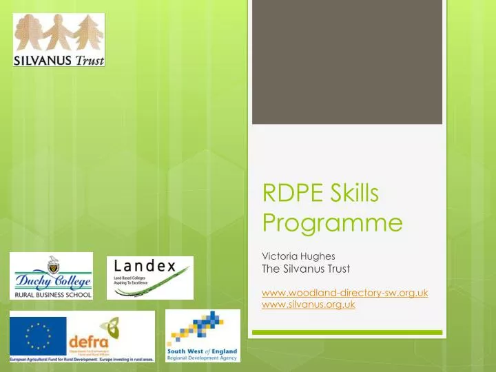 rdpe skills programme