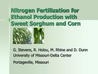 Nitrogen Fertilization for Ethanol Production with Sweet Sorghum and Corn