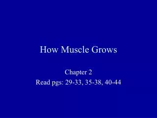 How Muscle Grows