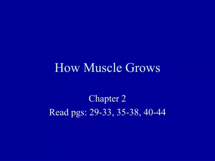 how muscle grows