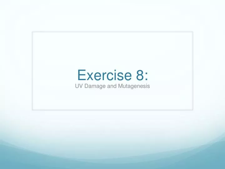 exercise 8