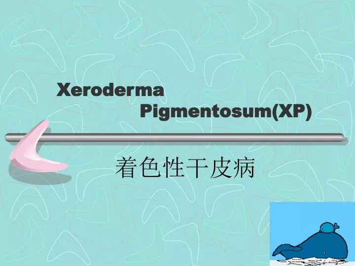 xeroderma pigmentosum xp