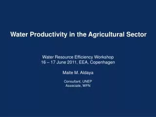 Water Productivity in the Agricultural Sector