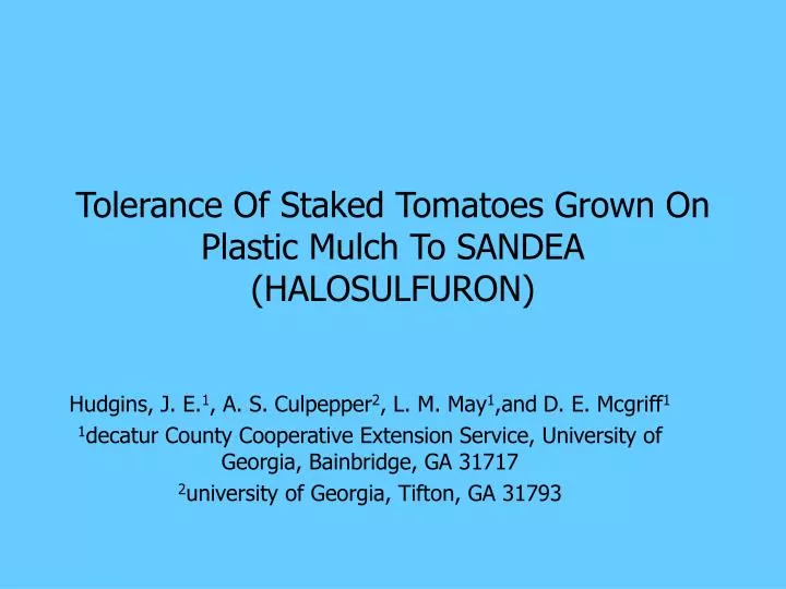 tolerance of staked tomatoes grown on plastic mulch to sandea halosulfuron