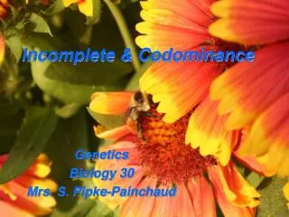 incomplete codominance