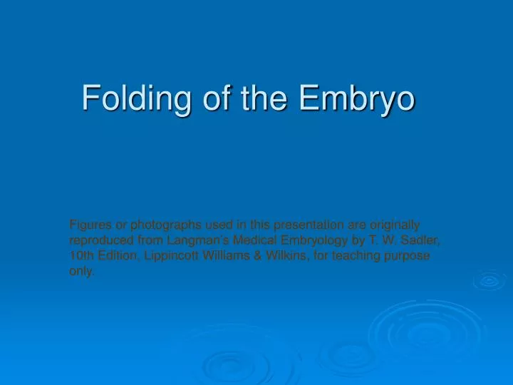 folding of the embryo