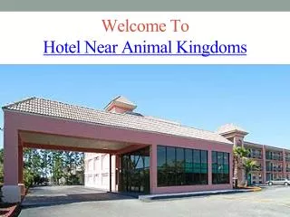 Hotel Near Animal Kingdoms