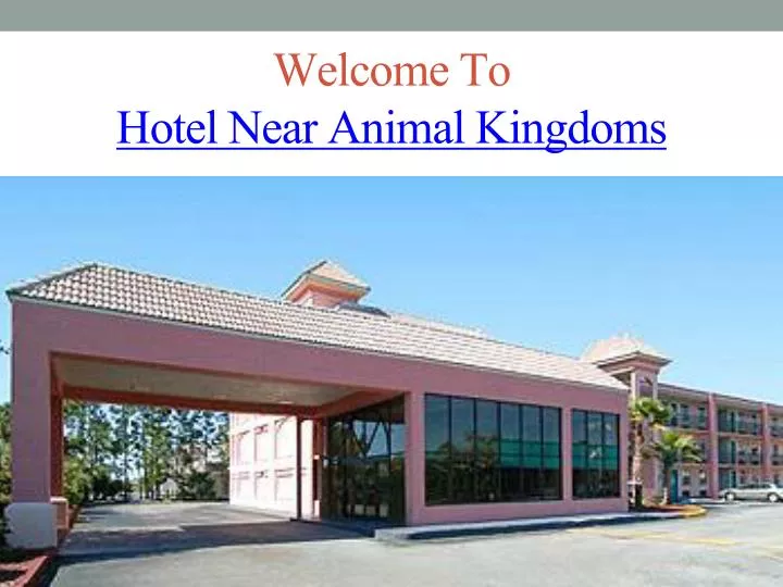welcome to hotel near animal kingdoms