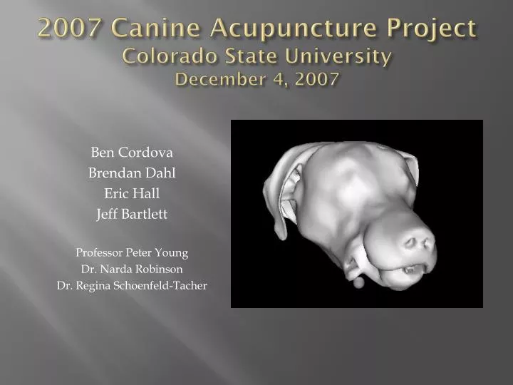 2007 canine acupuncture project colorado state university december 4 2007
